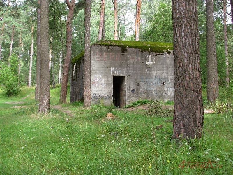 Красный Бор Смоленск Фото