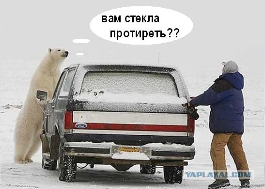 Эй, консерва, ты куда?!