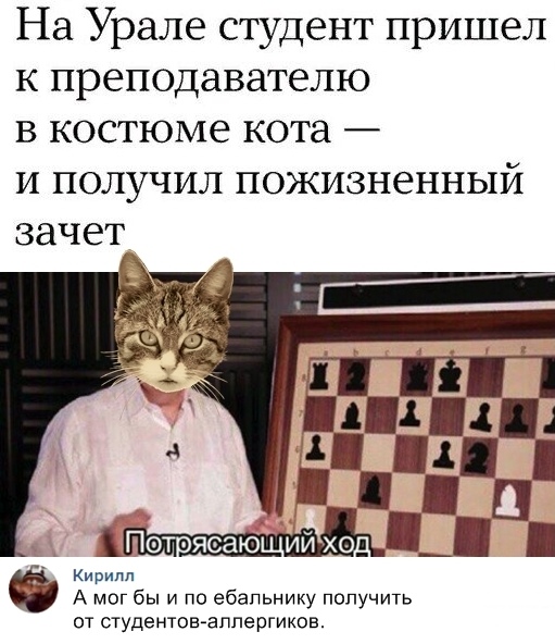 Дурацкие картинки