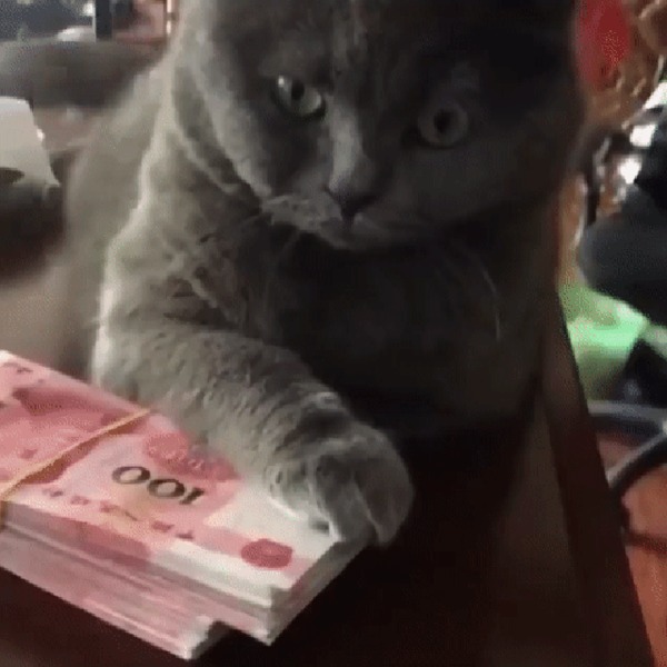 Подборка интересных и веселых картинок 05.03.19