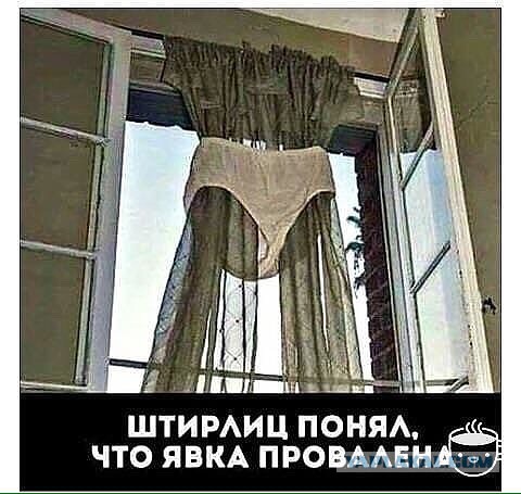 Подборка интересных и веселых картинок