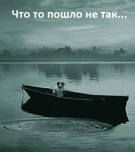 Так и живём!