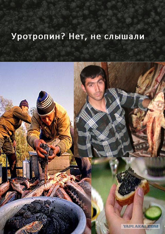 Конкурс на лучшую фотожабу против браконьеров.