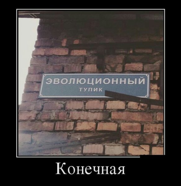 Женщины негодуют: почему разведённые мужчины за 40 претендуют на молодых