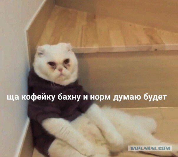 Сил нет встать с дивана