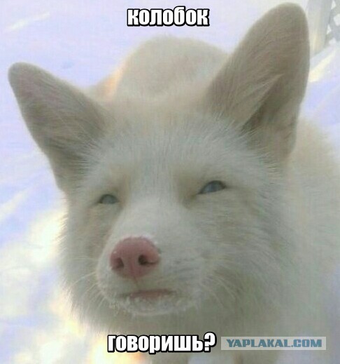 В этом мире так много интересного