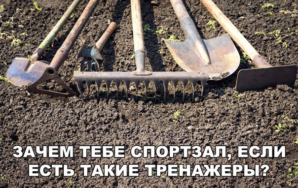 Немного картинок для настроения 28.01.20