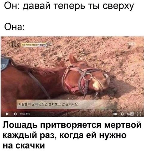 На злобу дня. О событиях в России и за её пределами