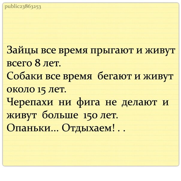 Кучка картинок №8
