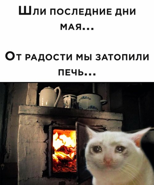 Так себе картинки 24.05.20