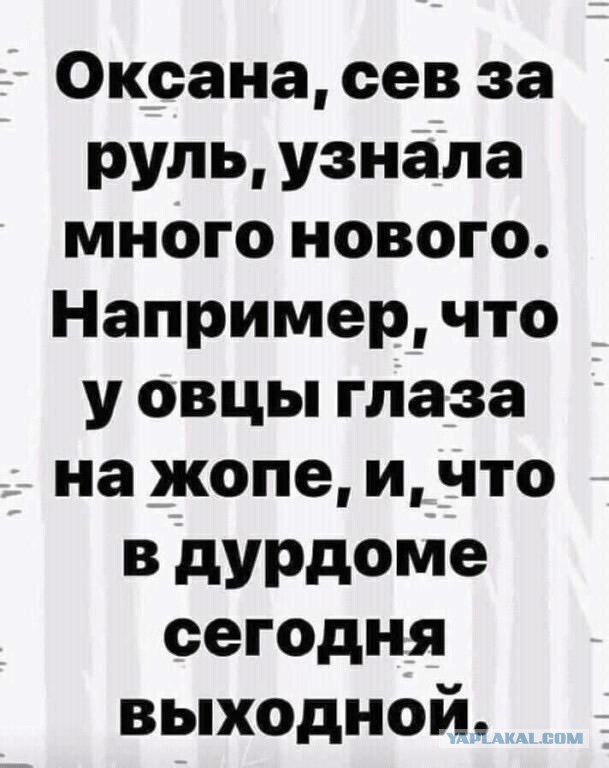 Немного картинок для настроения 25.06.20