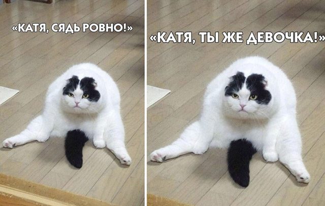 Немного картинок для настроения 02.09.20
