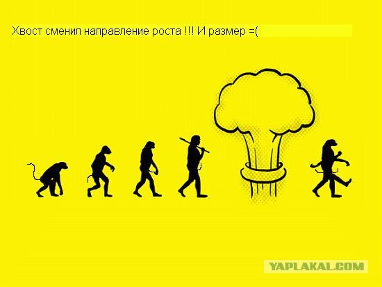 Эволюция
