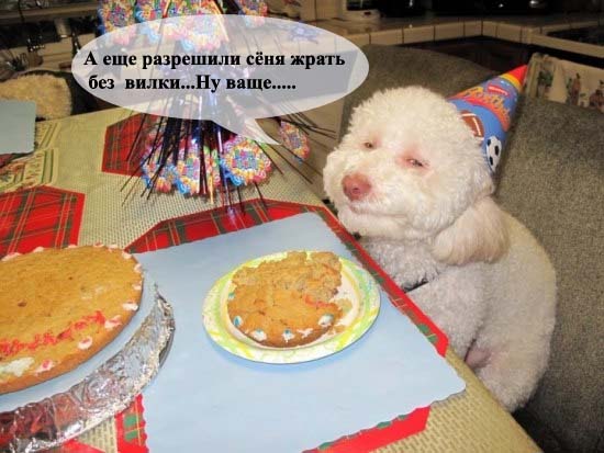 Вот оно - счастье!