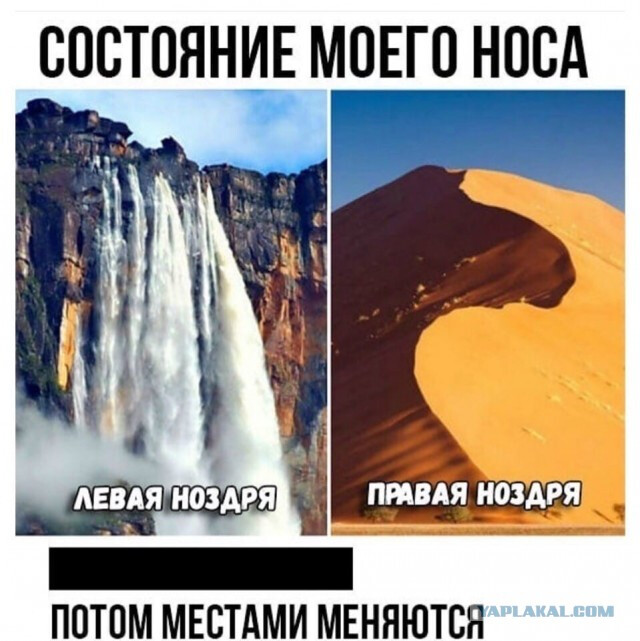 Фотки и картинки: юморные и красивые, забавные и милые 19.10.20