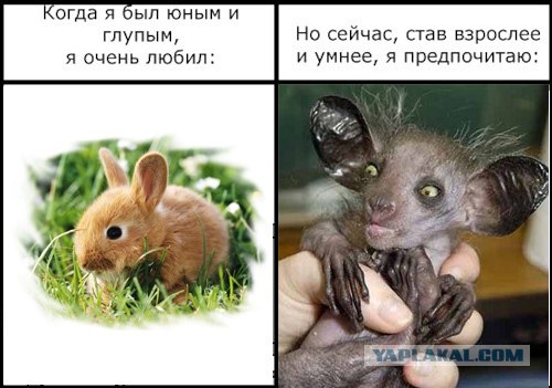 Фотожаба: Когда я был юным и глупым