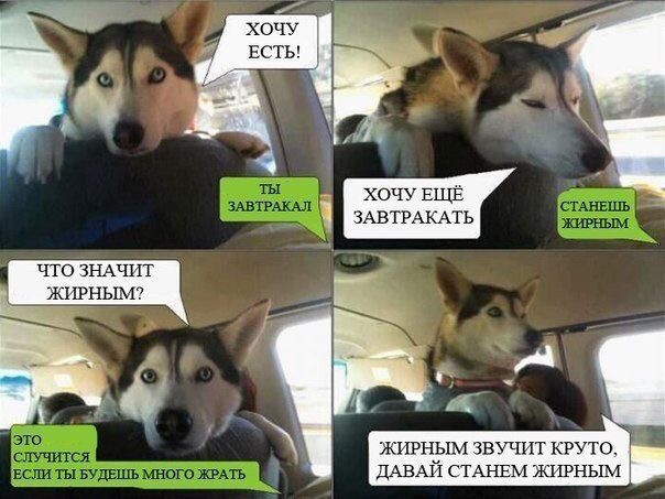 Картинки с надписями и всякие жизненные фразы 17.1.21