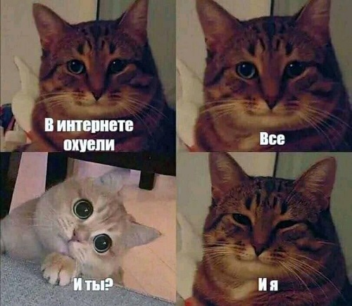 Насохранял