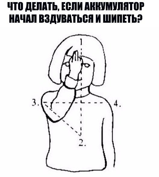 Ничто не предвещало беды...