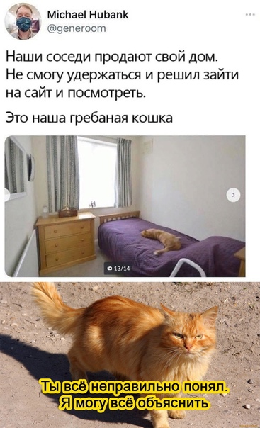 Весёлый полтишок 8.08