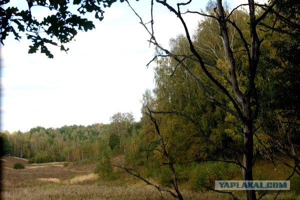 Осень в банках