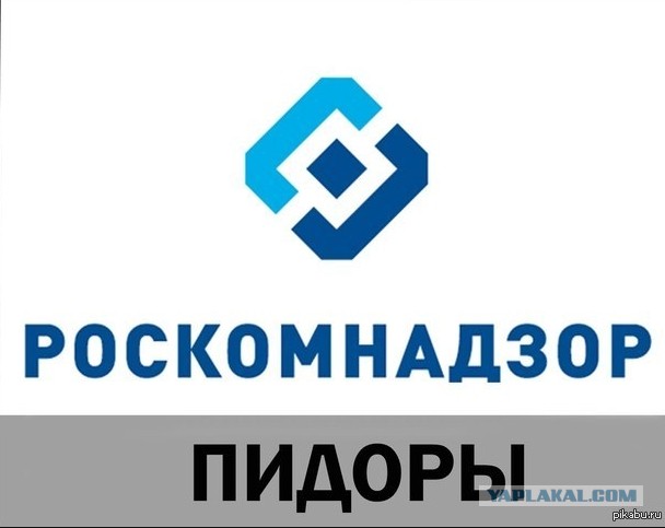 Роскомнадзор начал блокировать сайт «Умного голосования»