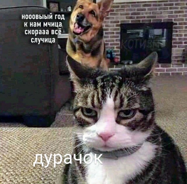 Делайте выводы