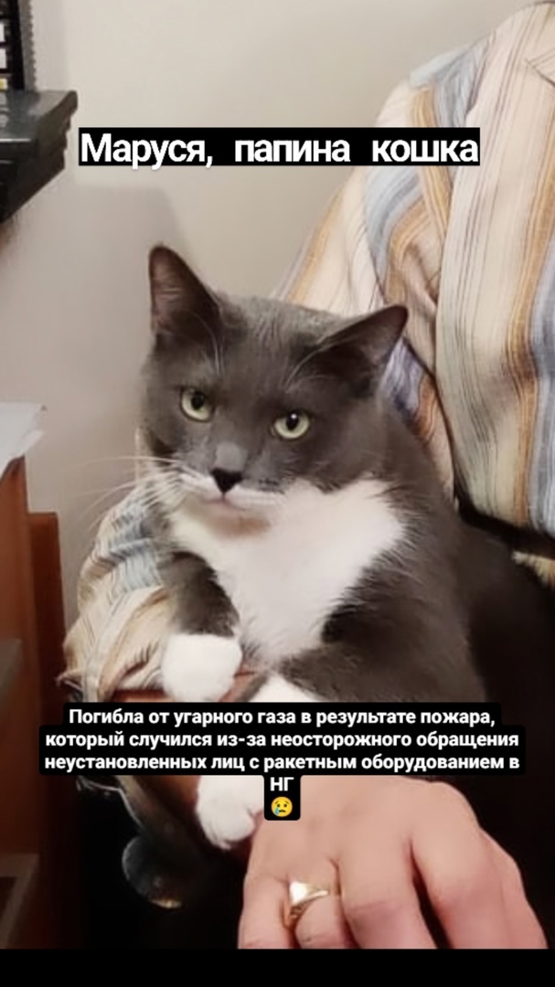 Астраханцы ищут свидетелей запуска сигнальной ракеты, которая в новогоднюю ночь спалила им квартиру