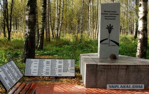 Музей-заповедник "Прорыв блокады Ленинграда"