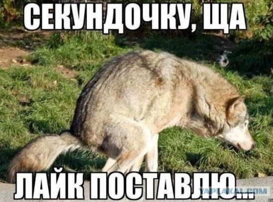 WP: Россия и США вступили в острейшую перепалку на заседании ООН