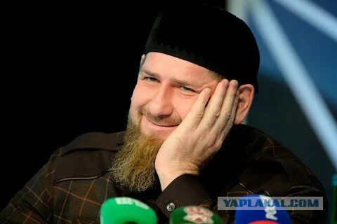 Последние новости из зоны боевых действий от Рамзана Кадырова.