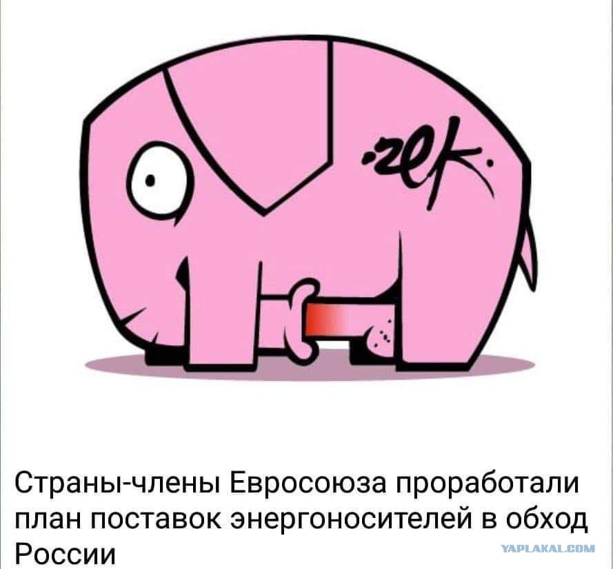 Картинка самолайк со слоном