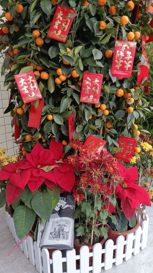 ЯП кругосветка. Этот проект завершился!