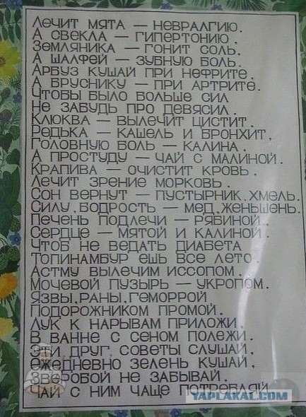Как бабы-казлы всё портят
