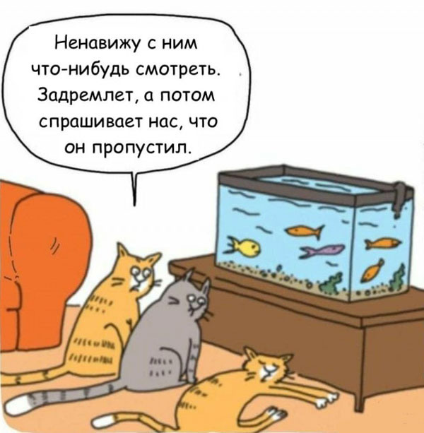 Так себе картинки 06.09.22