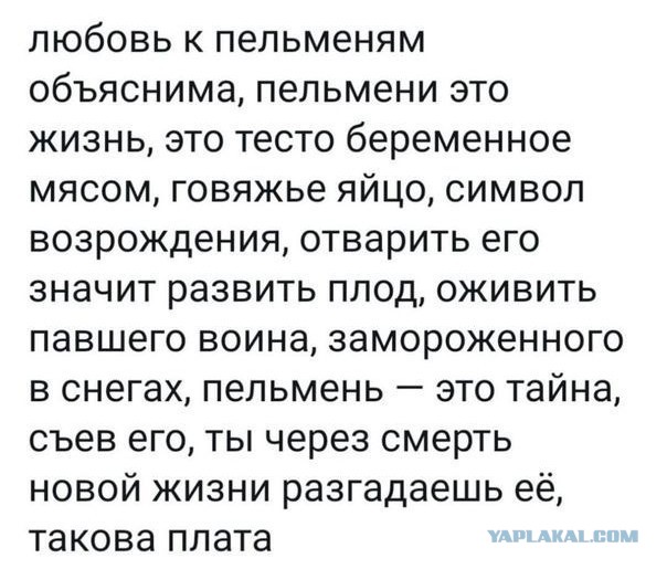 Аппетитные и разнообразные пельмени со всего мира