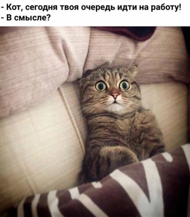 Юмор в картинках и без