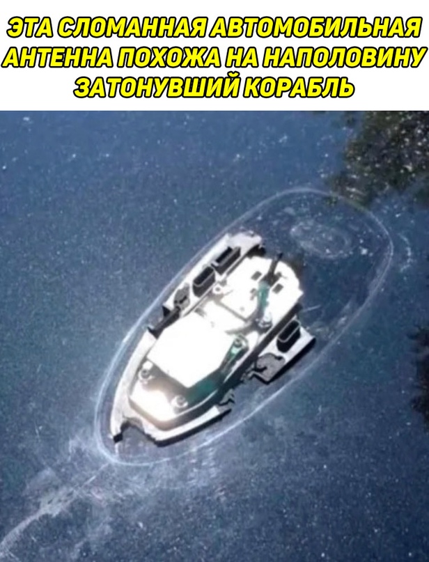 Картинки и мемы для настроения - 131