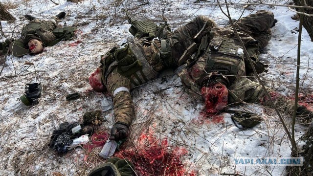 За сутки в зоне СВО уничтожено более 600 украинских солдат и свыше 40 единиц вражеской техники