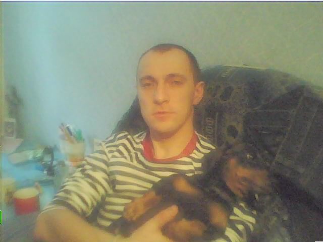 Наши верные друзья