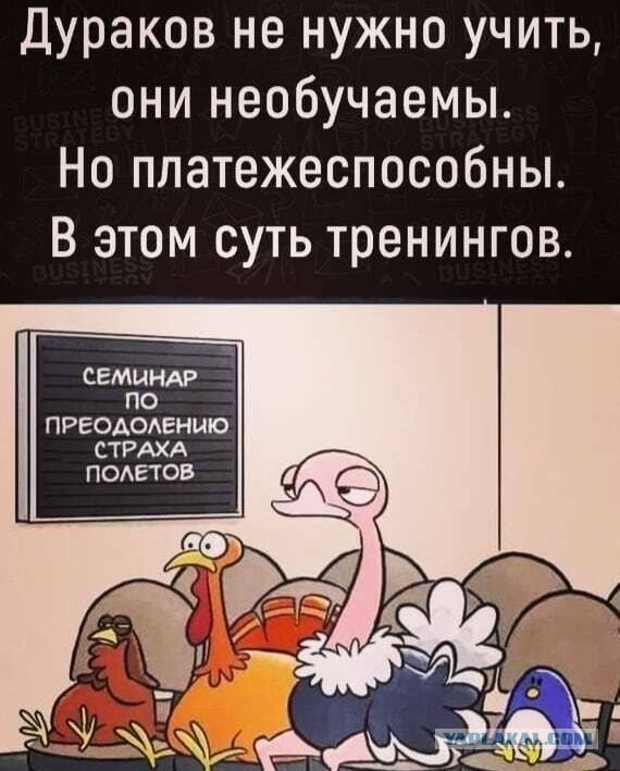 Десятки сумочек, одежда по цветам и настоящее хранилище для драгоценностей. Обыски в доме Елены Блиновской