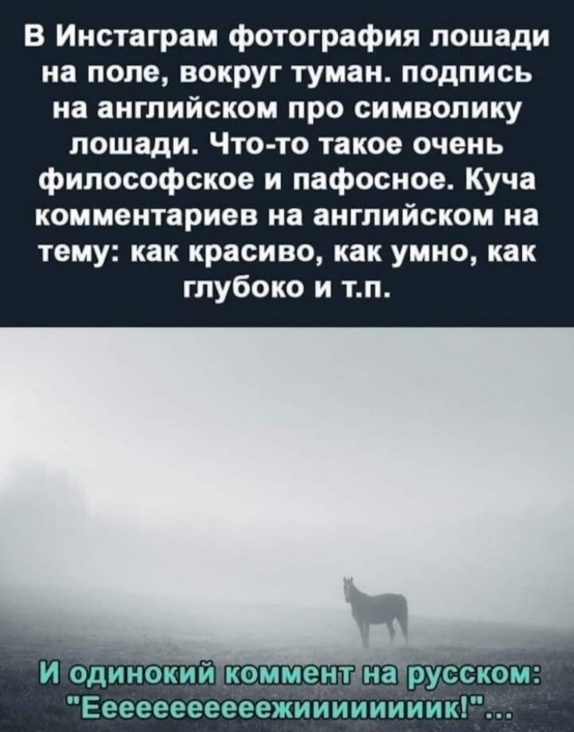 Картинки и мемы, всяко разно - 175