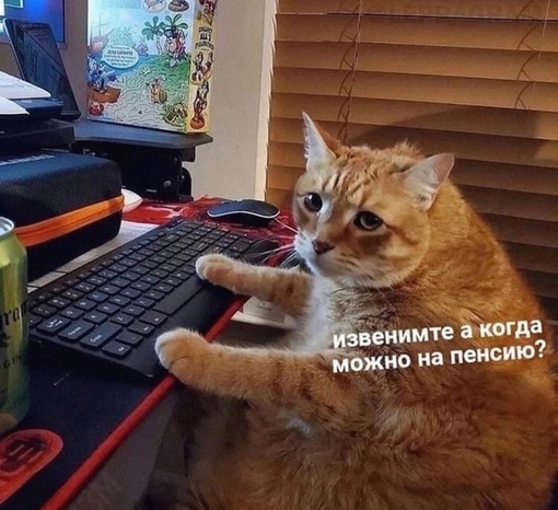 Картинки и мемы, всяко разно - 183