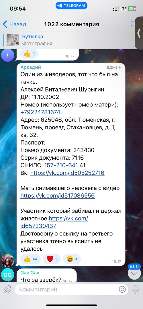 Под Тюменью трое блогеров-живодёров до смерти забили енота поленом и выложили видео в Сеть