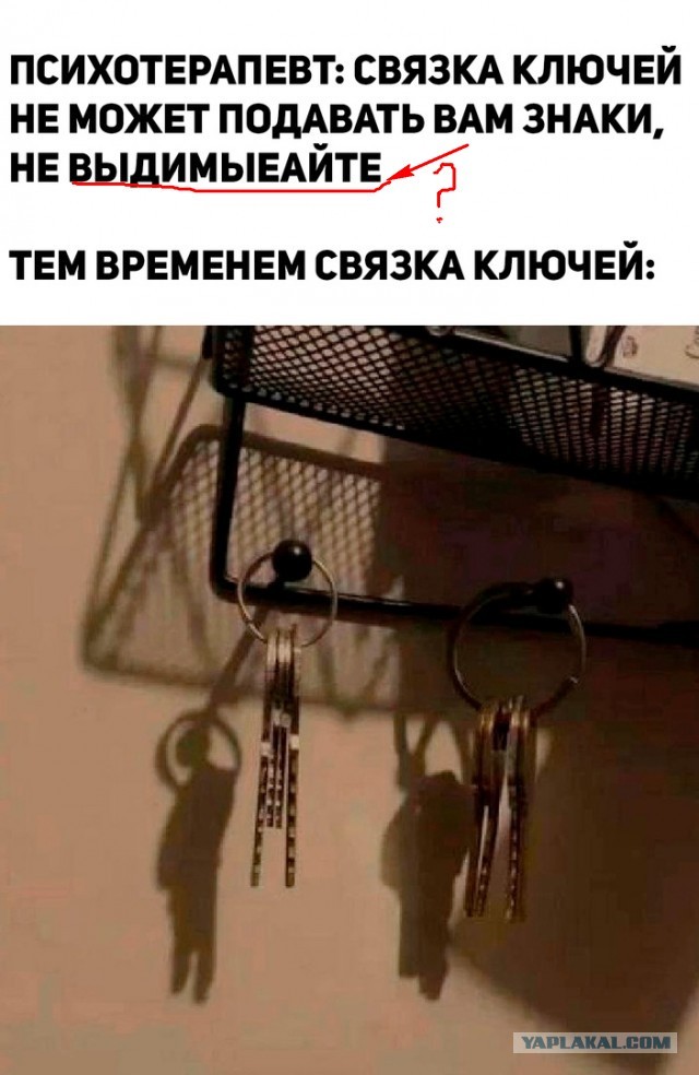 Так себе картинки 15.09.23