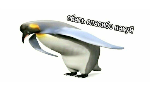 Выборы наши, а цирк европейский