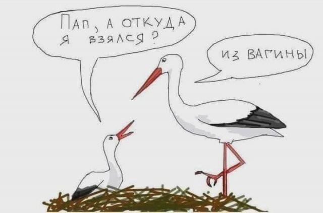 Слив лютых картинок