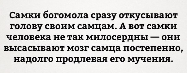 Немного наркомании и шизофрении в ленту