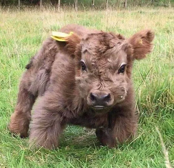 45 пятничных картинок 28.06.2024