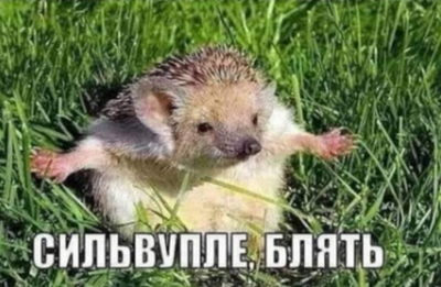 Мясорубка